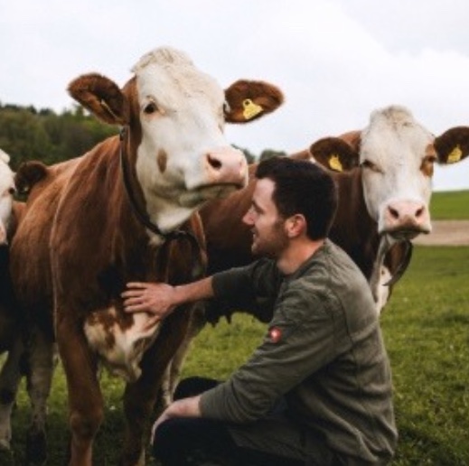 Ein Landwirt streichelt eine Kuh auf der Weide für regionale Schrankerl Mitarbeiterverpflegung.