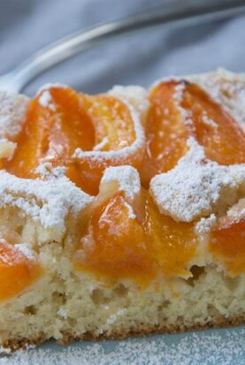 Saftiger Marillenkuchen mit Puderzucker als süße Mitarbeiterverpflegung im Büro.